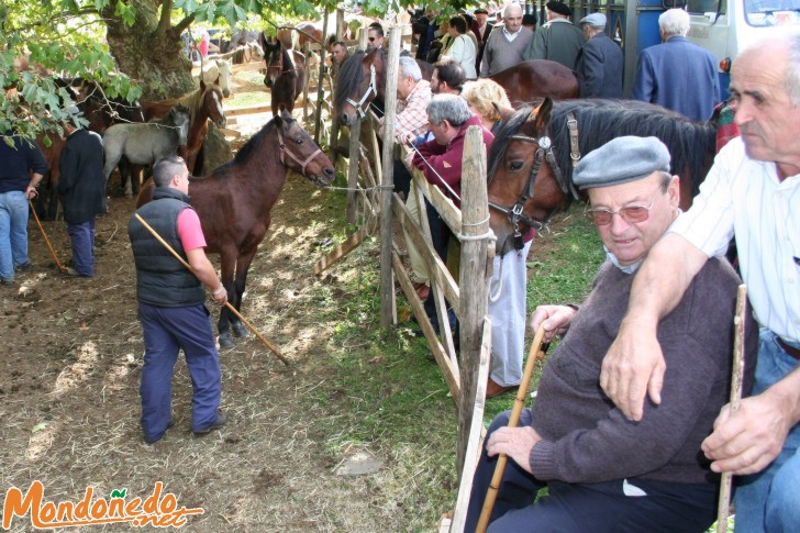 As San Lucas 2006
Un momento de la feria
