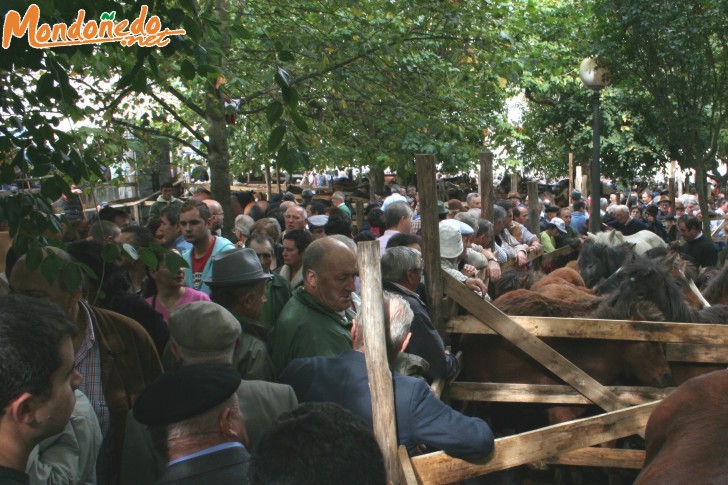 As San Lucas 2006
Una imagen de la feria
