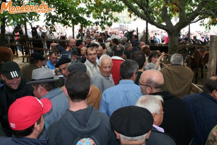 As San Lucas 2006
Feria multitudinaria
