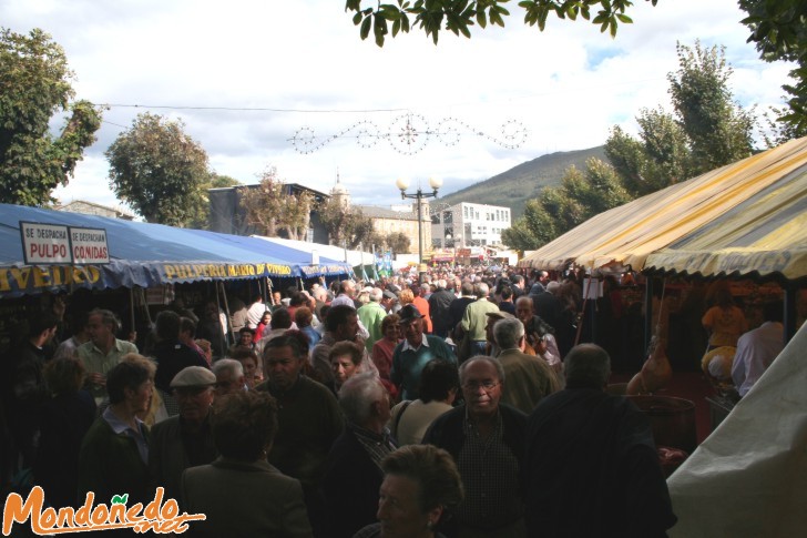 As San Lucas 2006
Fiesta en la Alameda
