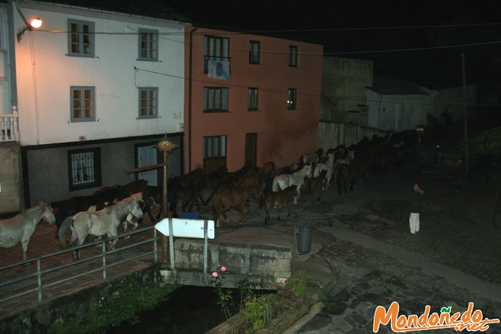 As San Lucas 2006
De madrugada hacia la feria
