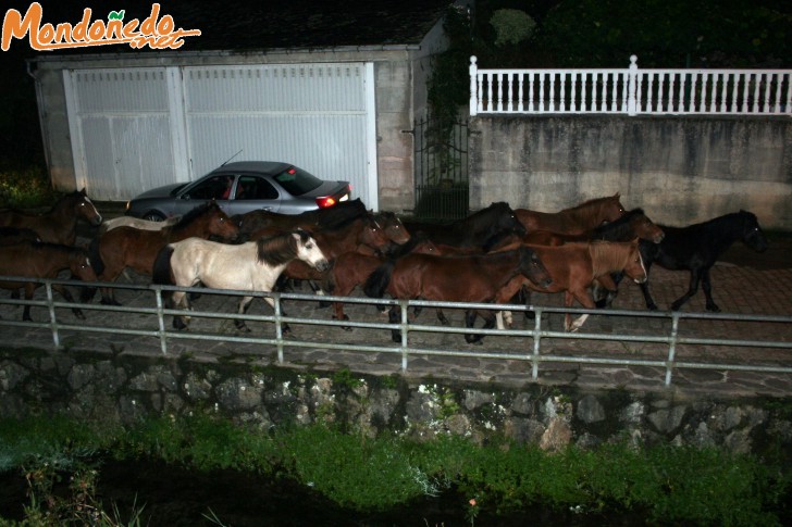 As San Lucas 2006
Caballos de madrugada
