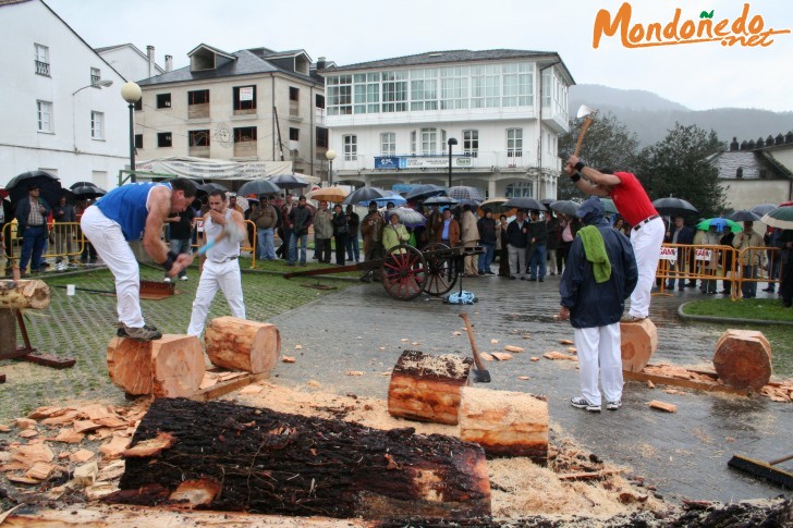 As San Lucas 2006
Exhibición de deporte rural vasco
