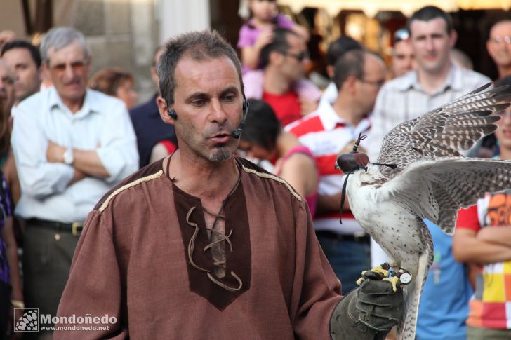 Sábado
Aves de cetrería
