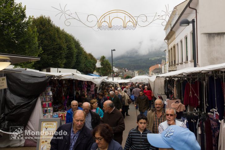 As San Lucas
Puestos de la feria
