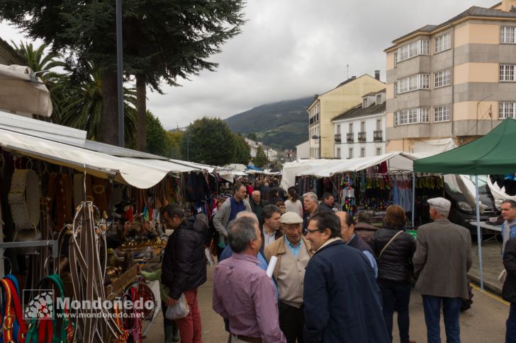 As San Lucas
Día de la feria
