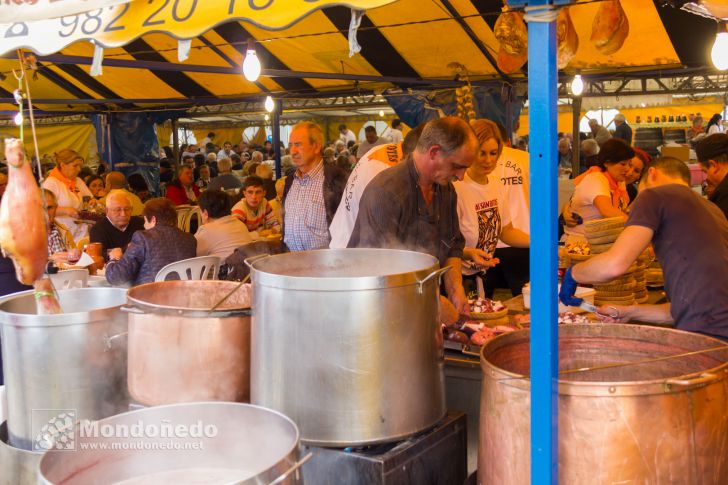 As San Lucas 2016
Pulpería
