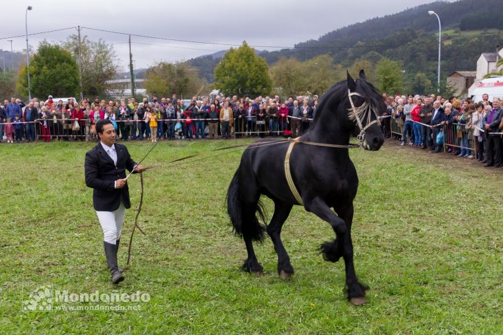 As San Lucas
Festival ecuestre
