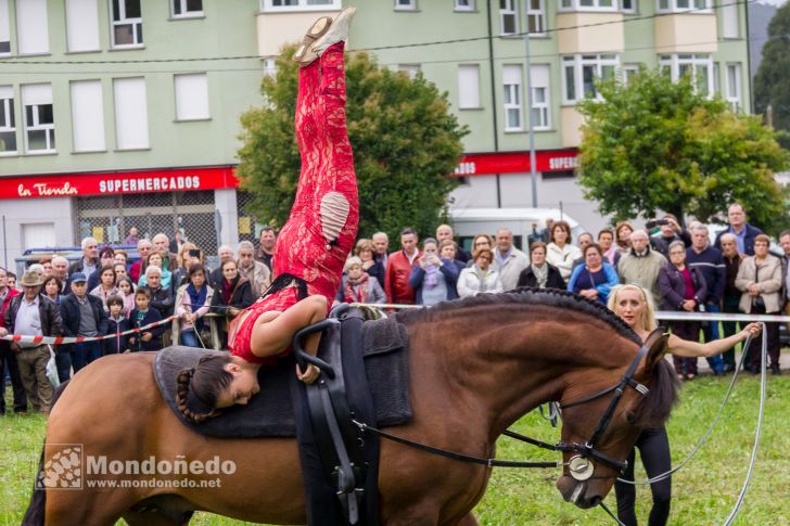 As San Lucas
Festival ecuestre
