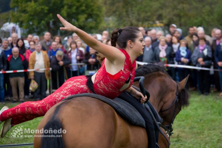 As San Lucas
Festival ecuestre
