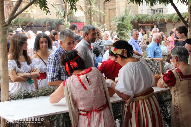 Mercado Medieval 2012
