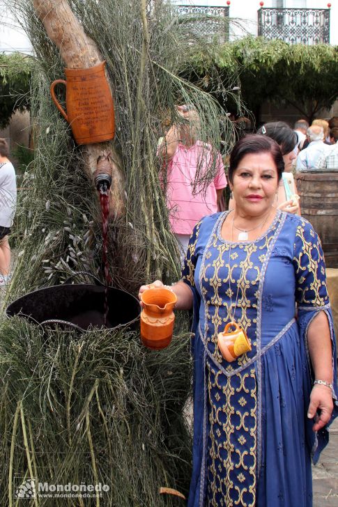 Mercado Medieval 2012
