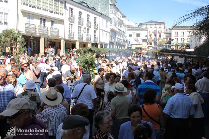 Sábado
Plaza medieval
