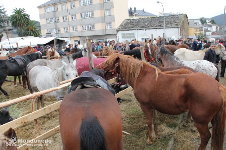 As San Lucas 2012
