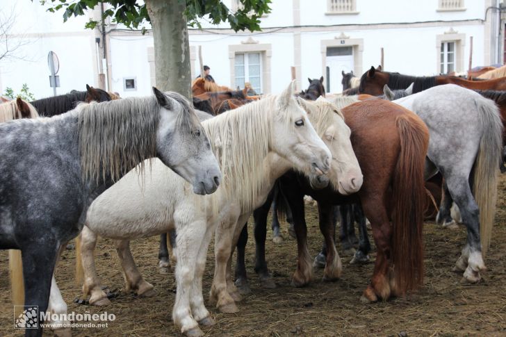 As San Lucas 2012
