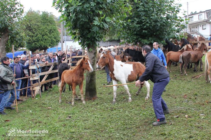 As San Lucas 2012
