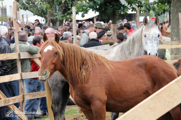 As San Lucas 2012
