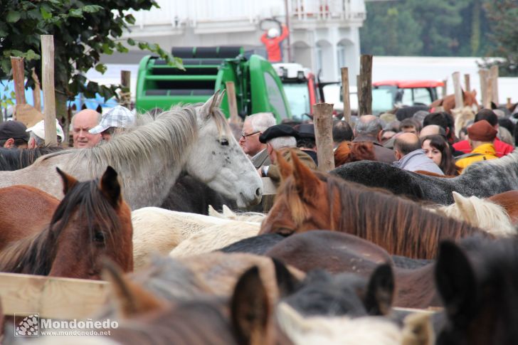 As San Lucas 2012
