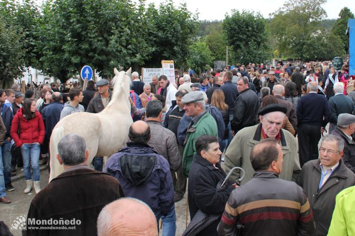 As San Lucas 2012
