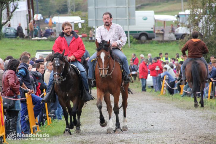 As San Lucas 2012
