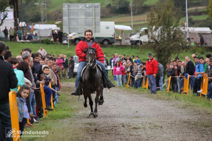 As San Lucas 2012
