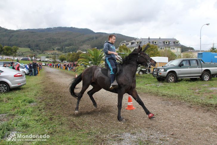 As San Lucas 2012
