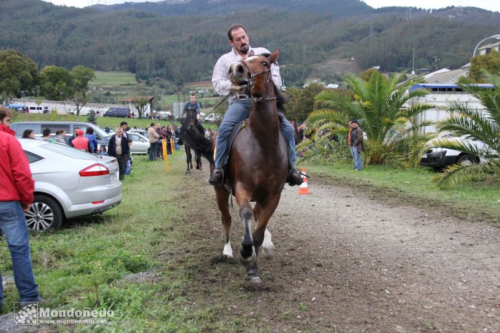 As San Lucas 2012
