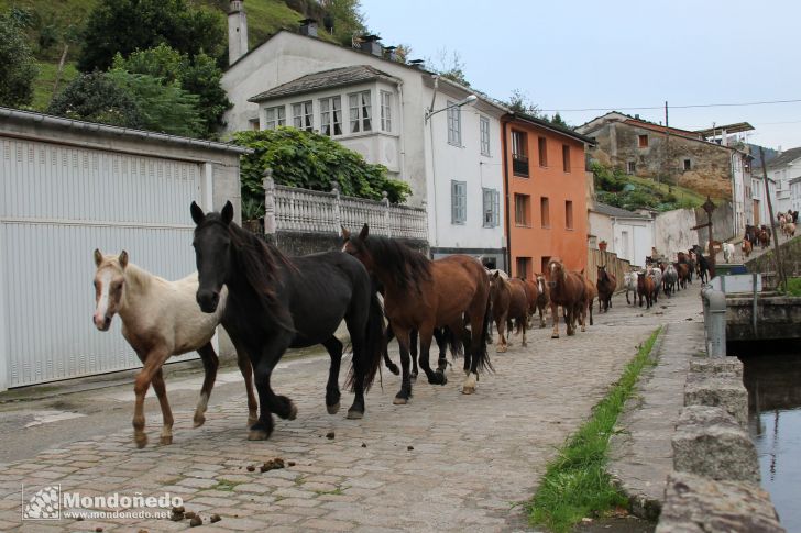 As San Lucas 2012
