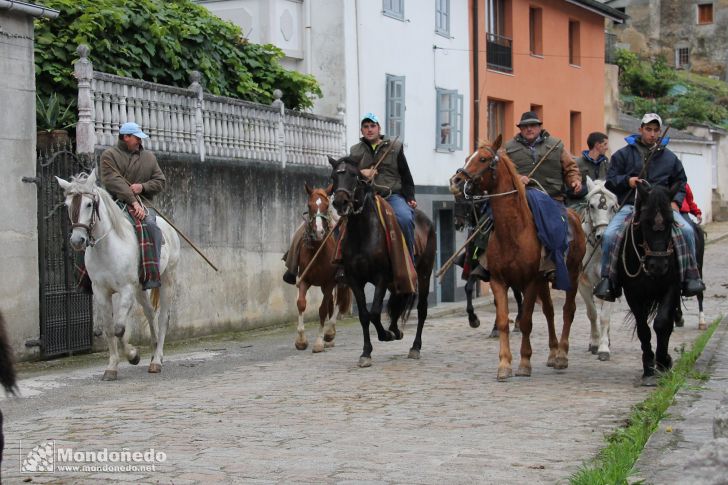 As San Lucas 2012
