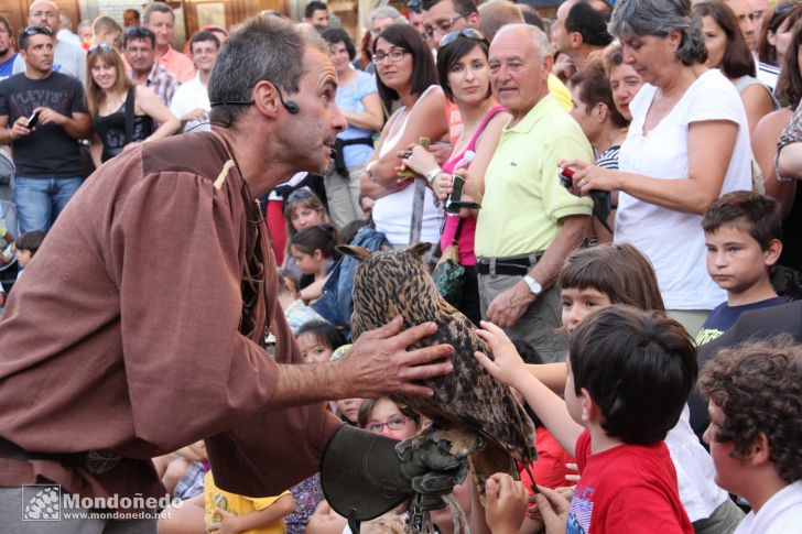 Sábado
Aves de cetrería
