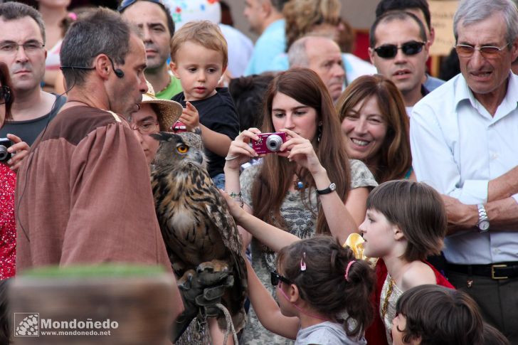 Sábado
Aves de cetrería
