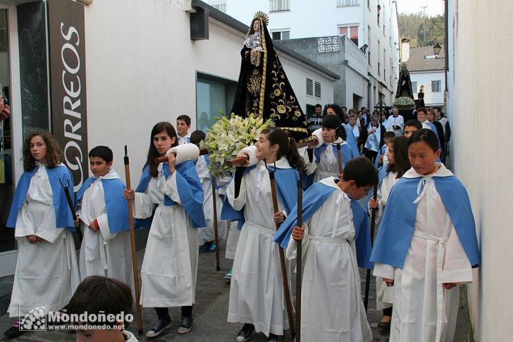 Domingo de Ramos
Procesión del Ecce Homo
