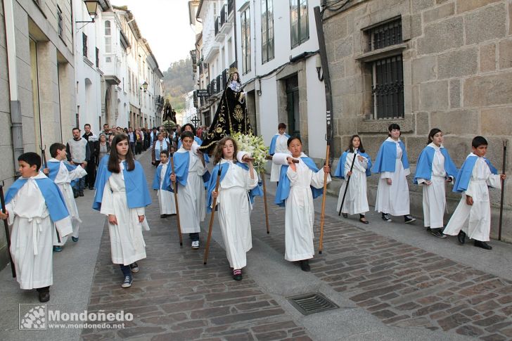 Domingo de Ramos
Procesión del Ecce Homo
