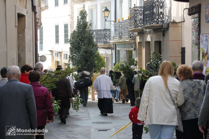 Domingo de Ramos
Procesión de Ramos
