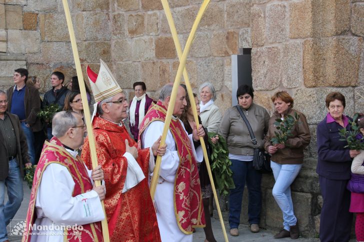 Domingo de Ramos
Procesión de Ramos
