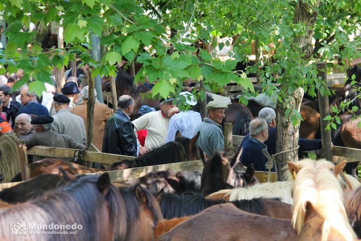 As Quendas 2011
Feria de ganado
