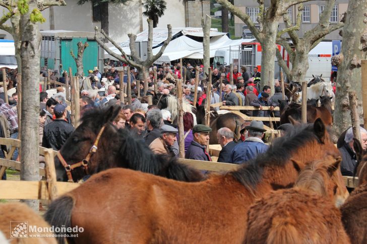 As Quendas 2012
Feria de ganado
