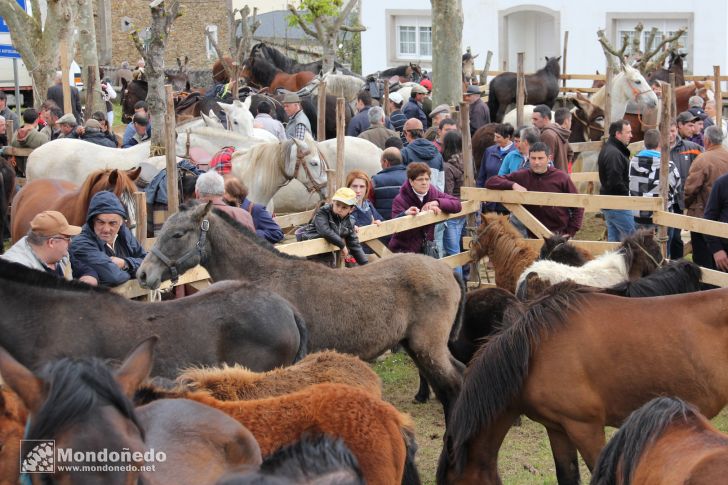 As Quendas 2012
Feria
