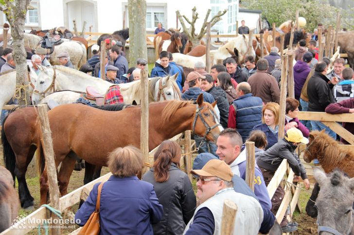 As Quendas 2012
Caballos en la feria
