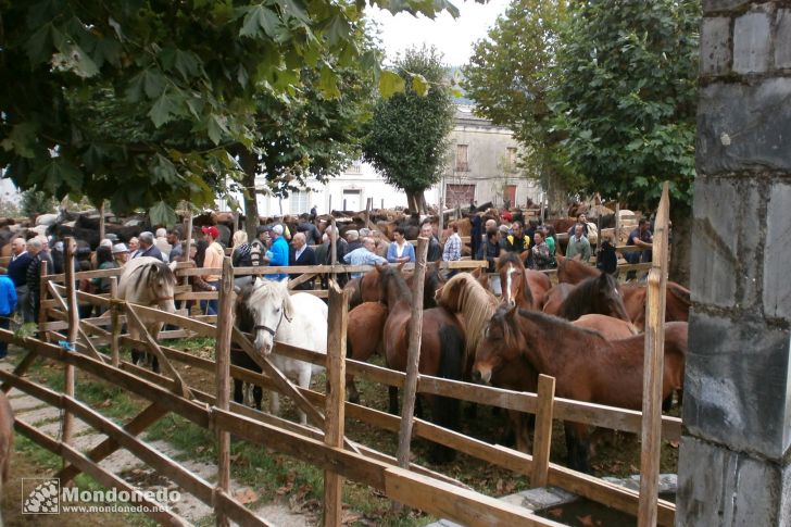 As San Lucas 2013
