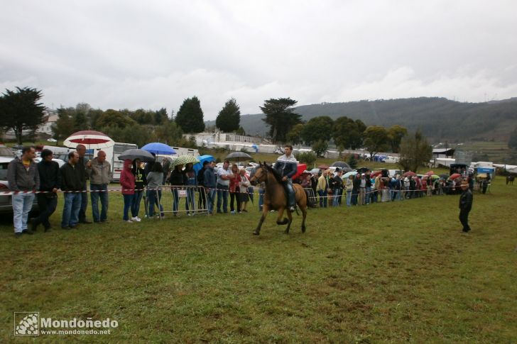 As San Lucas 2013
