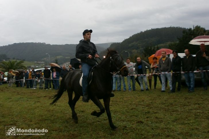 As San Lucas 2013
