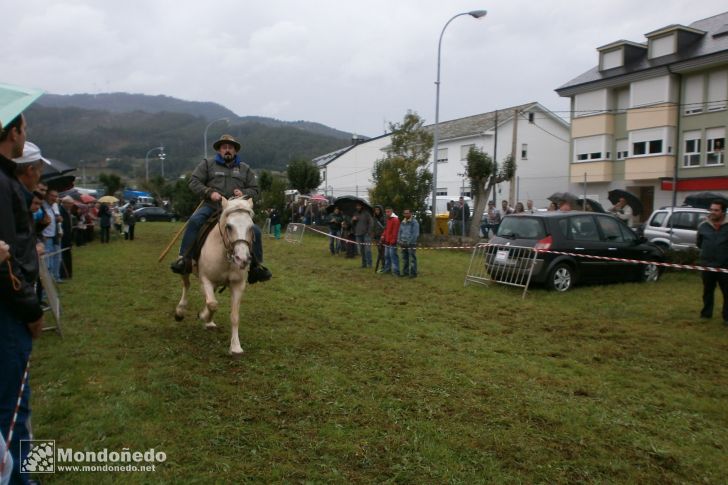 As San Lucas 2013
