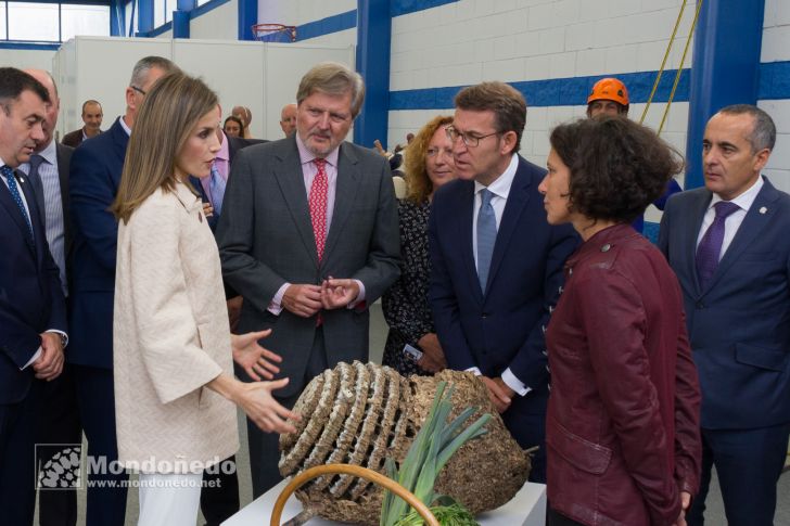 Doña Letizia visita Mondoñedo
