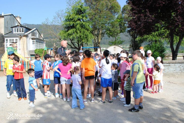 Día del Árbol
Fiesta del árbol en la Alameda
