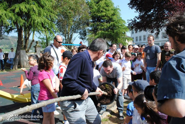 Día del Árbol
Fiesta del árbol en la Alameda
