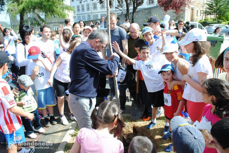 Día del Árbol
Fiesta del árbol en la Alameda
