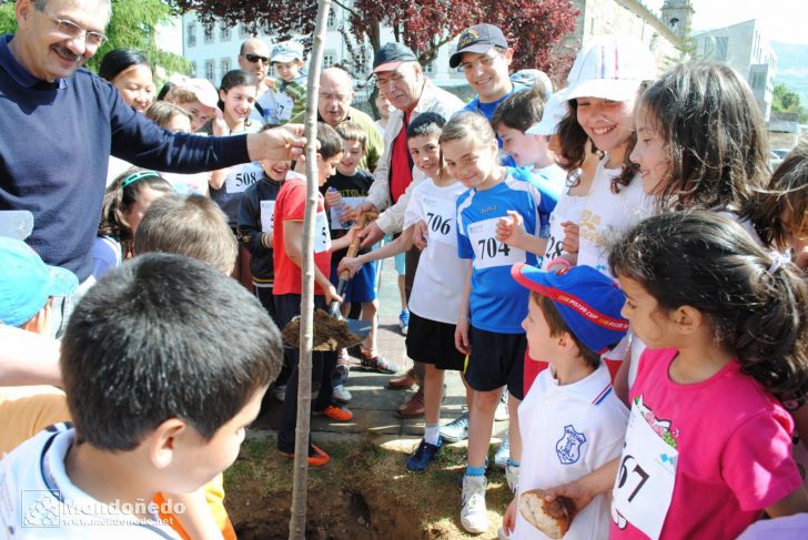 Día del Árbol
Fiesta del árbol en la Alameda
