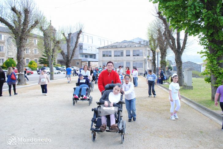 Día del Árbol
Fiesta del árbol en la Alameda
