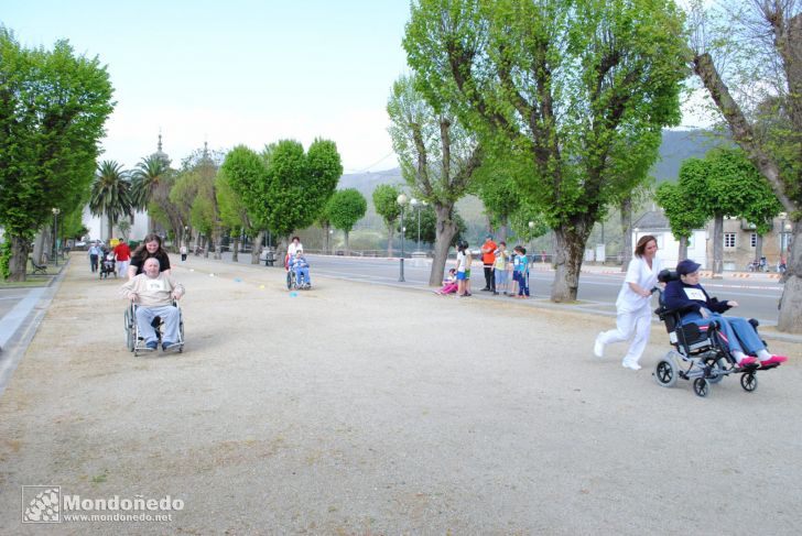 Día del Árbol
Fiesta del árbol en la Alameda
